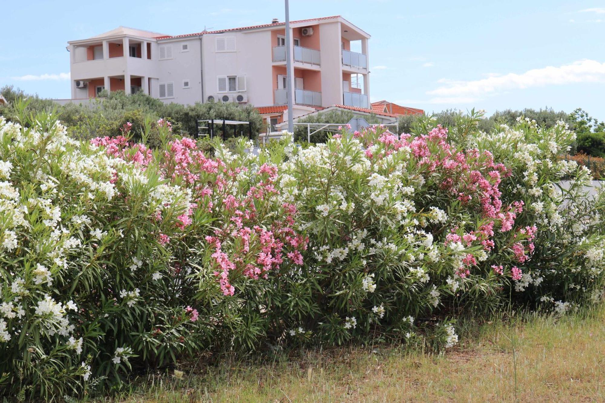 Apartmani Bilokapic Primošten Exteriör bild